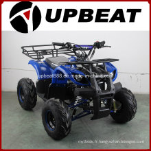 Upbeat 110cc / 125cc Mini Farm ATV Cheap Quad Bike